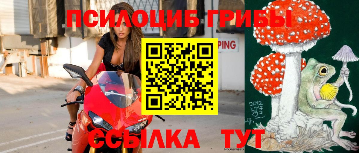 Галлюциногенные грибы Cubensis  Вход с VPN  Новочебоксарск 